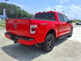 Used 2022 Ford F150 Lariat w/ Equipment Group 502A High image 5