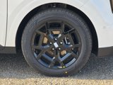 New 2025 Kia Carnival SX image 4