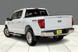 New 2025 Ford F150 XLT w/ Equipment Group 303A High image 3