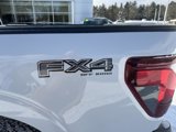New 2025 Ford F150 XLT w/ Equipment Group 302A MID image 4