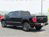 Used 2023 Ford F150 4x4 SuperCrew image 6