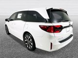 New 2025 Honda Odyssey Elite image 3