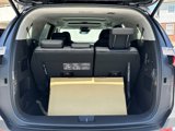 New 2026 Kia Carnival SX Prestige image 6