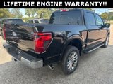 New 2024 Ford F150 XLT w/ Equipment Group 303A High image 6