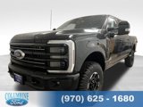 New 2025 Ford F250 Platinum w/ Tremor Off-Road Package image 1