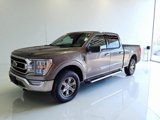Used 2022 Ford F150 XLT w/ Equipment Group 302A High image 2