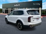 New 2025 Kia Telluride EX image 3
