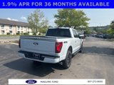 New 2025 Ford F150 XLT w/ Equipment Group 302A MID image 5
