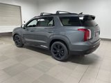 New 2025 Hyundai Palisade XRT image 5