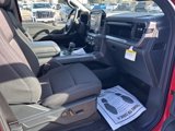New 2025 Ford F150 XLT w/ Equipment Group 302A MID image 6