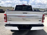 Used 2023 Ford F150 Platinum w/ Equipment Group 701A High image 3