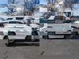 New 2025 Hyundai Palisade Calligraphy image 3