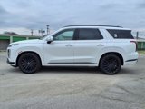 New 2025 Hyundai Palisade Calligraphy image 4