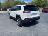Used 2019 Jeep Cherokee Trailhawk w/ Comfort/Convenience Group image 3
