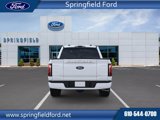 New 2025 Ford F150 Platinum w/ Equipment Group 702A High image 5