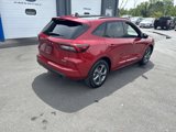 Used 2024 Ford Escape ST-Line w/ Tech Pack #1 image 3