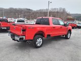 New 2025 Ford F250 XLT w/ 360-Degree Camera Package image 4