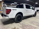 New 2025 Ford F150 Platinum image 6
