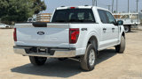 New 2025 Ford F150 XL w/ Equipment Group 104A Hybrid image 3