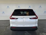 New 2026 Honda CR-V EX image 5