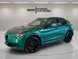 New 2024 Alfa Romeo Stelvio Quadrifoglio image 3
