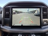New 2025 Ford F150 XLT image 6