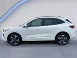 Used 2024 Ford Escape ST-Line Elite image 6