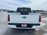 New 2025 Ford F150 STX w/ Equipment Group 200A image 5