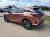 Used 2023 Lexus RX 350 Premium Plus w/ Accessory Package (Z1) image 3