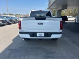 New 2025 Ford F150 STX w/ Equipment Group 200A image 6