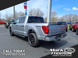 New 2025 Ford F150 STX image 3