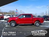 New 2025 Ford F150 XLT w/ Equipment Group 302A MID image 2