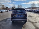 New 2025 Kia Telluride SX Prestige image 6