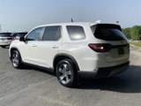 New 2025 Honda Pilot EX-L image 3