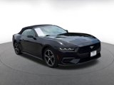 Used 2024 Ford Mustang Premium image 3