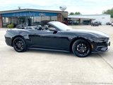 New 2025 Ford Mustang Premium image 3