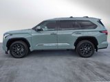 New 2025 Toyota Sequoia Platinum image 2