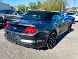 Used 2018 Ford Mustang Premium w/ Equipment Group 201A image 5