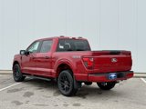 New 2025 Ford F150 STX image 3