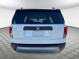 New 2026 Honda Passport RTL image 4