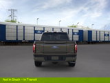 New 2025 Ford F150 Platinum image 5