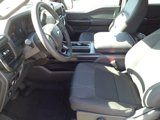 New 2025 Ford F150 STX image 3