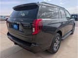 New 2025 Ford Expedition Active image 3