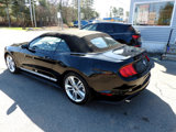 Used 2021 Ford Mustang Premium w/ Equipment Group 201A image 3