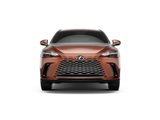 New 2025 Lexus RX 350 image 5