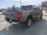 New 2025 Ford F150 XLT w/ Equipment Group 302A MID image 6