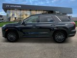 New 2025 Hyundai Palisade Calligraphy image 3