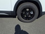 New 2025 Volkswagen Atlas Peak Edition SE image 2