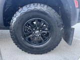 Used 2024 Ford F150 Raptor image 5