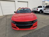 Used 2023 Dodge Charger SXT w/ Cold Weather Package image 2